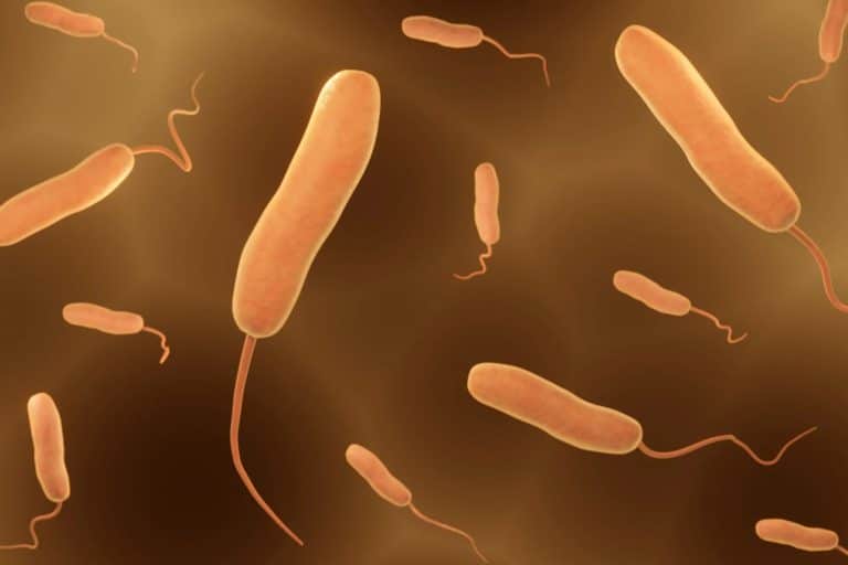 Louisiana Reports 5 Deaths, Dozens Hospitalized in Severe ‘Flesh-Eating Bacteria’ Outbreak