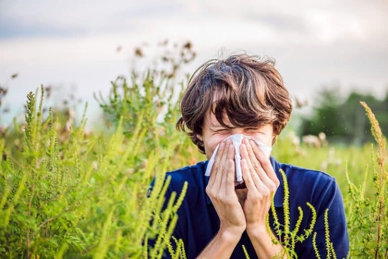 Worsening Allergies? Scientists Say Climate Change Is Making Pollen Seasons Longer and More Intense